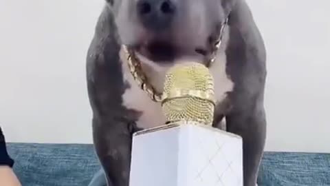 dog_singing_a _song