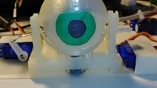 3D Printed Animatronic Eye