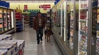 Service dog at Marc's!