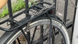 Snake Spotted Slithering Across Parked Bicycle