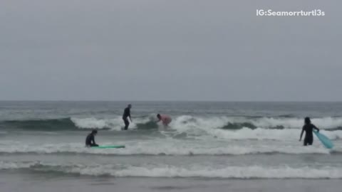 Shirtless surfer runs into black wetsuit surfer