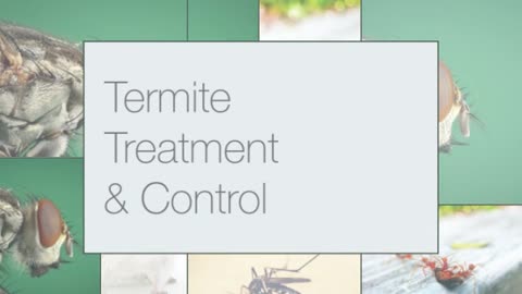 Best Termite Pest Control NJ
