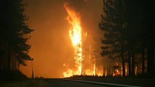 Raw video from earlier on the #HogFire along Highway 36.