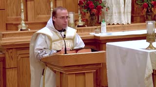 Remaining Faithful in Persecution - Nov 15 - Homily - Fr Ignatius