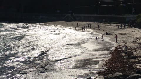 Backlit beach