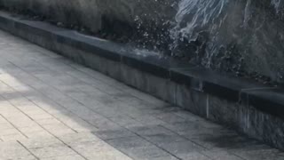 Guy running across fountain