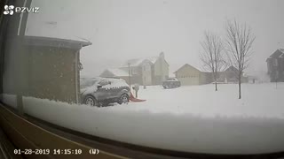 T-Rex Shovels Snow