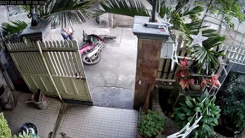 Dog Escapes as Man Tries to Move Moped Through Gate