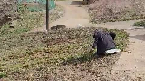 Spring Countryside View of Korea