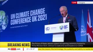 Prince Charles: We Need a "Vast Military-Style Campaign" to Combat Climate Change