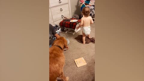 Cute Babies Playing With Dogs Compilation