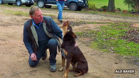 The Singing Dog - Farmer Sings With His Best Mate