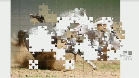 Puzzle. White horses.