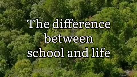 Difference between school and life