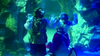 Divers in 'Hanbok' greet New Year underwater