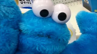 Hungry Cookie Monster Talking Puppet