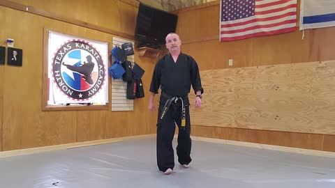 Basic Karate Stance
