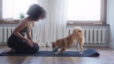 Fun Dog in Yoga Class