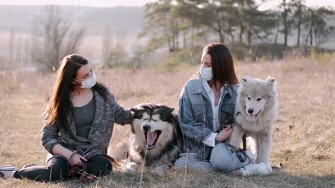 Lovely Husky With VIews