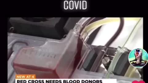 Vaxxed blood treated like Aids infected blood