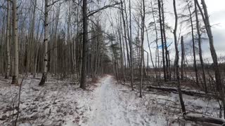 International Fatbike Day 2020 (Timmins Ontario Canada)