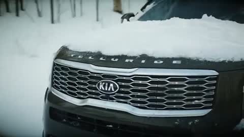 Kia and Hyundai are recalling some of their vehicles