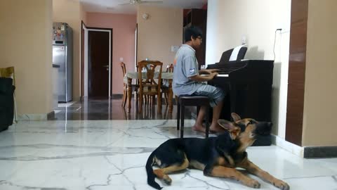 Musical Dog Adds Vocals To His Human's Piano Solo