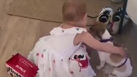 little baby trying to calm the dog