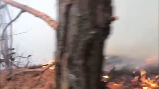 Incendio forestal en Bogotá