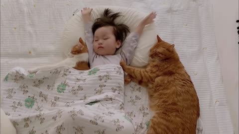 Adopted Cats Guarding and Sleeping with Their Little Human