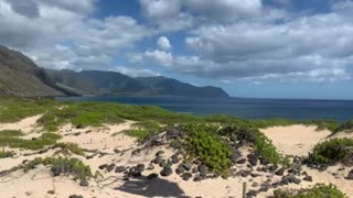 Ka’ena Point