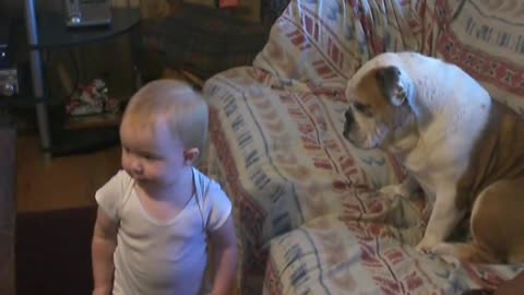 Cute Baby Has Detailed Conversation With Dog