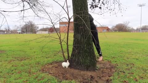 Dude tries his best to catch bunny rabbit hilariously fails