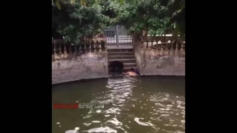 dog rescues his owner who pretends to drown