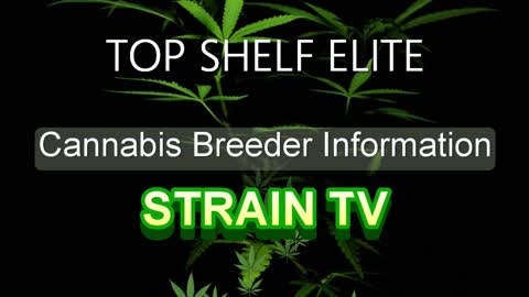 TOP SHELF ELITE - Cannabis Strain Series - STRAIN TV