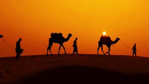 Cameleers, camel Drivers at sunset. Thar desert on sunset Jaisalmer, Rajasthan, India