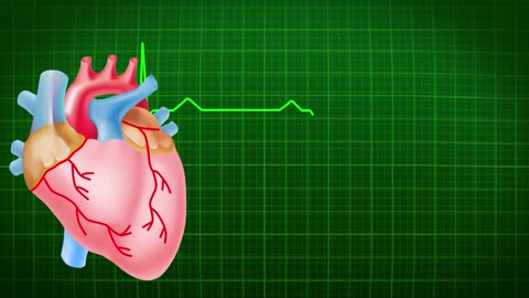 HEART 💜 BEARTS blood sarcolation