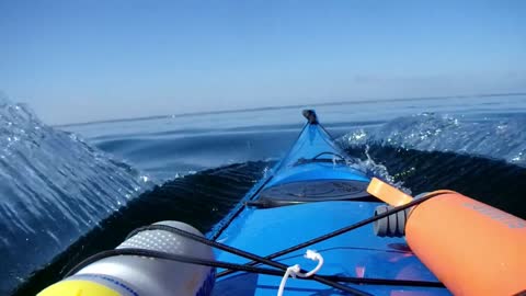 En el mar la vida es más sabrosa