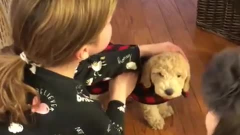 Little Girl Gets Puppy Surprise And Her Reaction Is Heartwarming