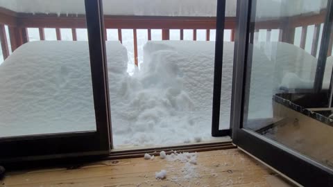 Cat Attempts Snow Pile Jump