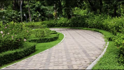 SP Paving Specialists - (669) 223-9863