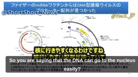 MALICIOUS! Prof. Murakami discusses cancer promoting DNA sequence found in Pfizer jabs
