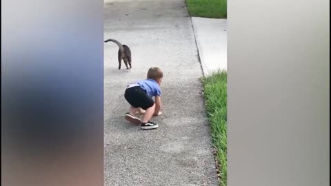 Cute baby boy play with lovely cat