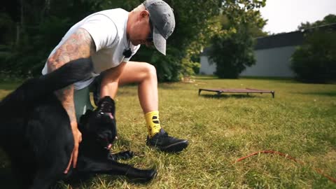 How To Safely Train Dogs Completely Off The Leash !!!