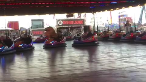 T-Rex Bumper Car Fun