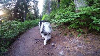 Summertime in the Cascades