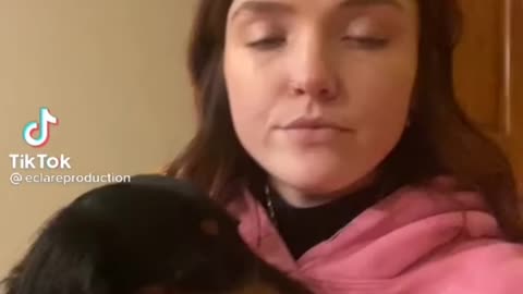 Kiss your pet on the head and see their reaction