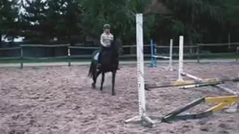 my show jumping training