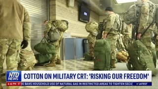 Sen. Cotton on Critical Race Theory in Military: 'Risking Our Freedom'