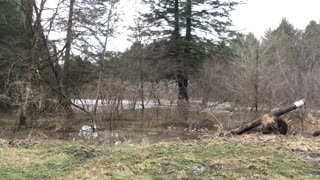 Spring Flooding in Western PA - 3-21-2020